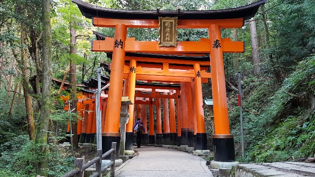 Temple Fushimi-Inari et ses milliers de torii
