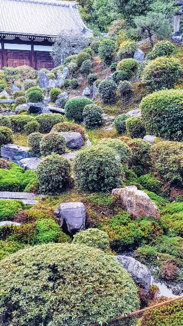 Jardin Tofuku-ji 