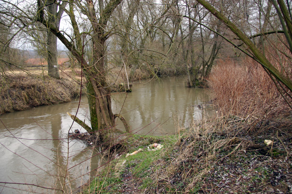 Elsenzlauf in Mauer (Foto B. Budig, 02.02.2008). 