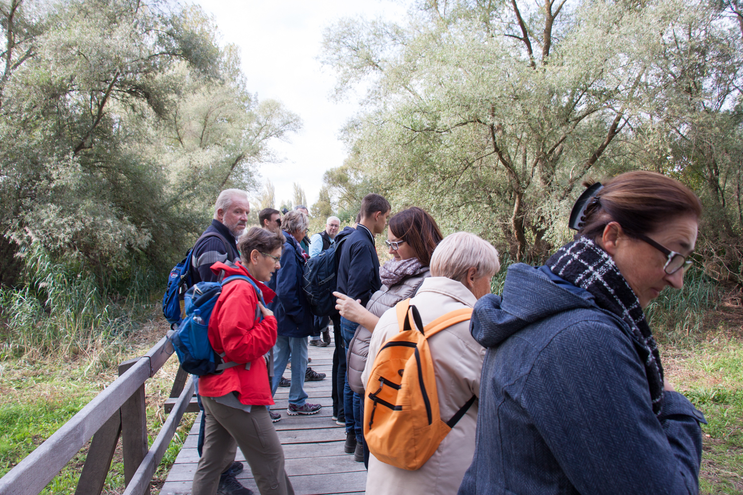 Auf der Brücke am Rallengraben