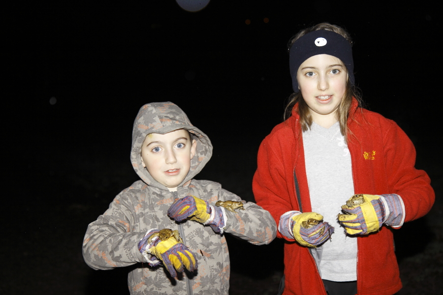 Malte und Henrike helfen beim Zählen und natürlich beim Umsetzen der Erdkröten. (Foto: B. Budig)