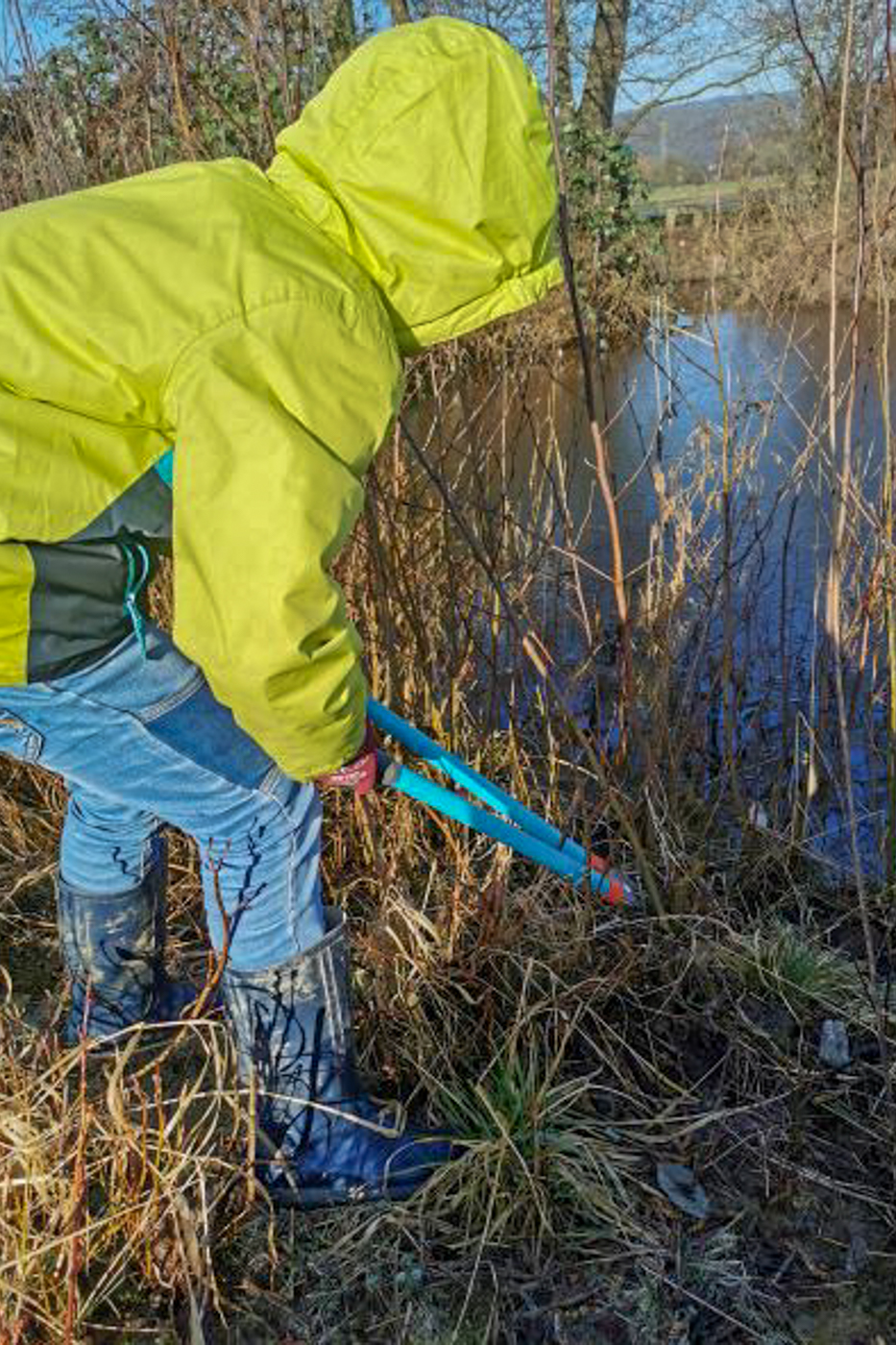 Biotoppflege an der Bruchrainwiese (Foto: C. Braun)