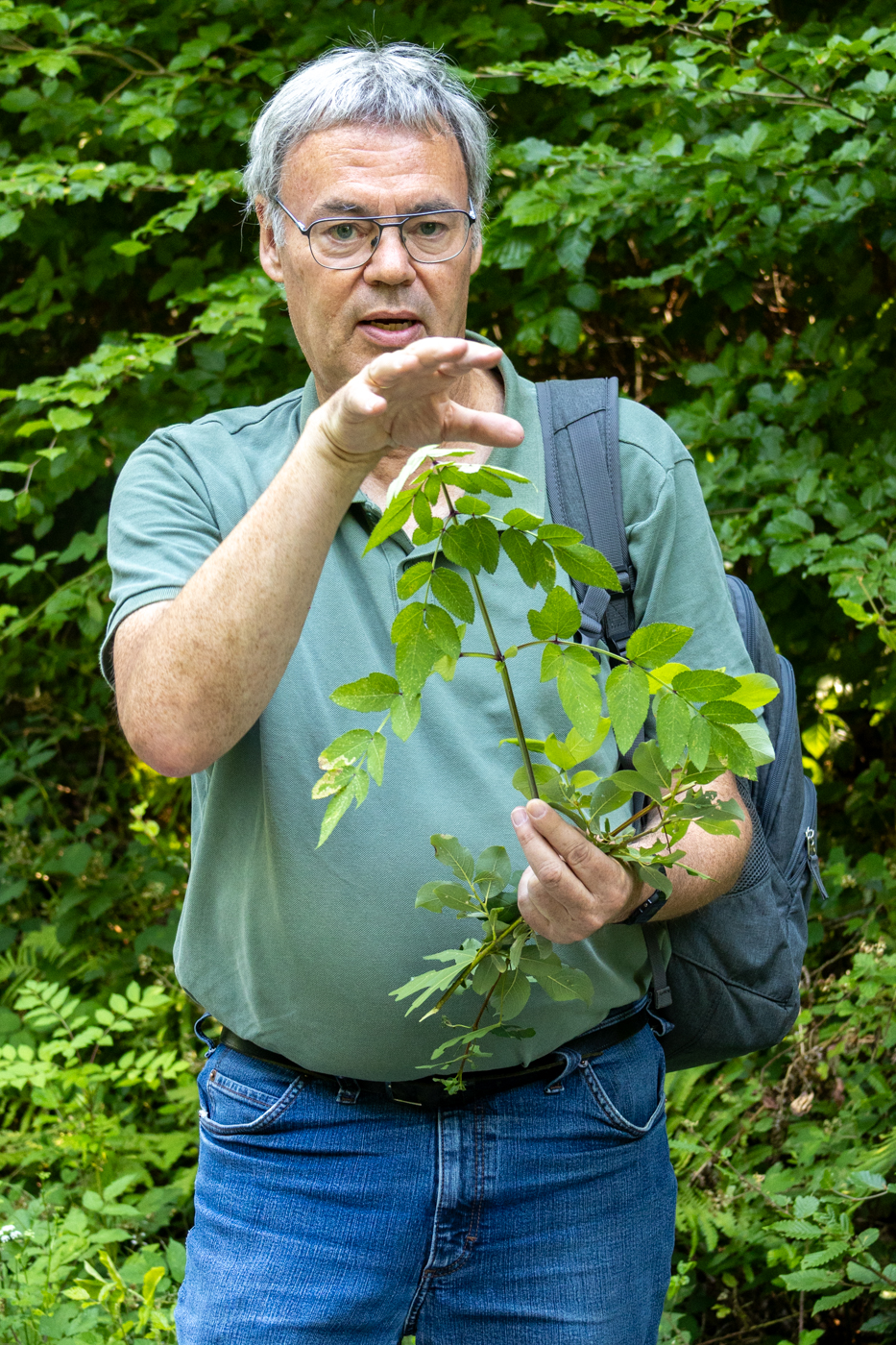 Was zählt eigentlich als Blatt? (Foto: B. Budig)