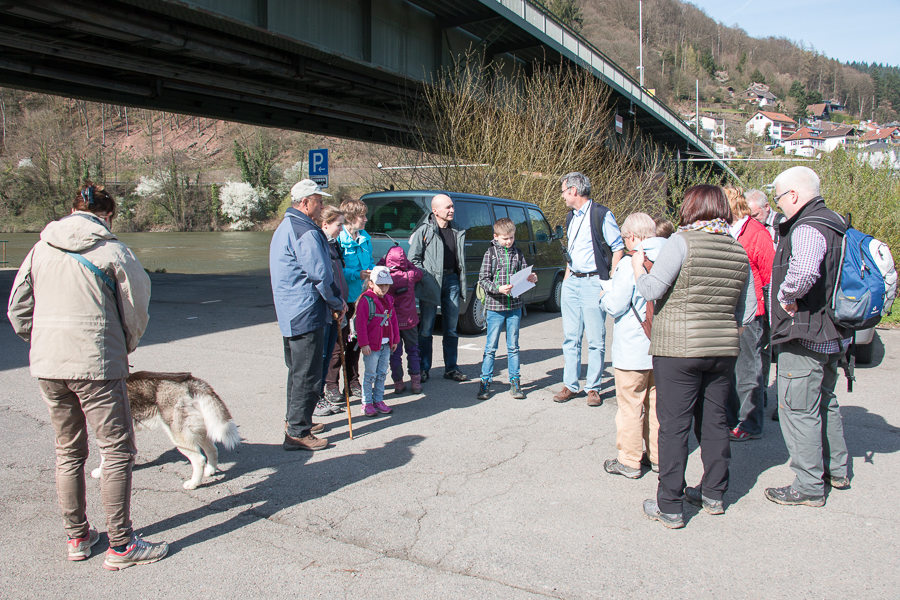 Exkursionsstart an der Friedensbrücke in Neckargemünd (Foto: B. Budig)