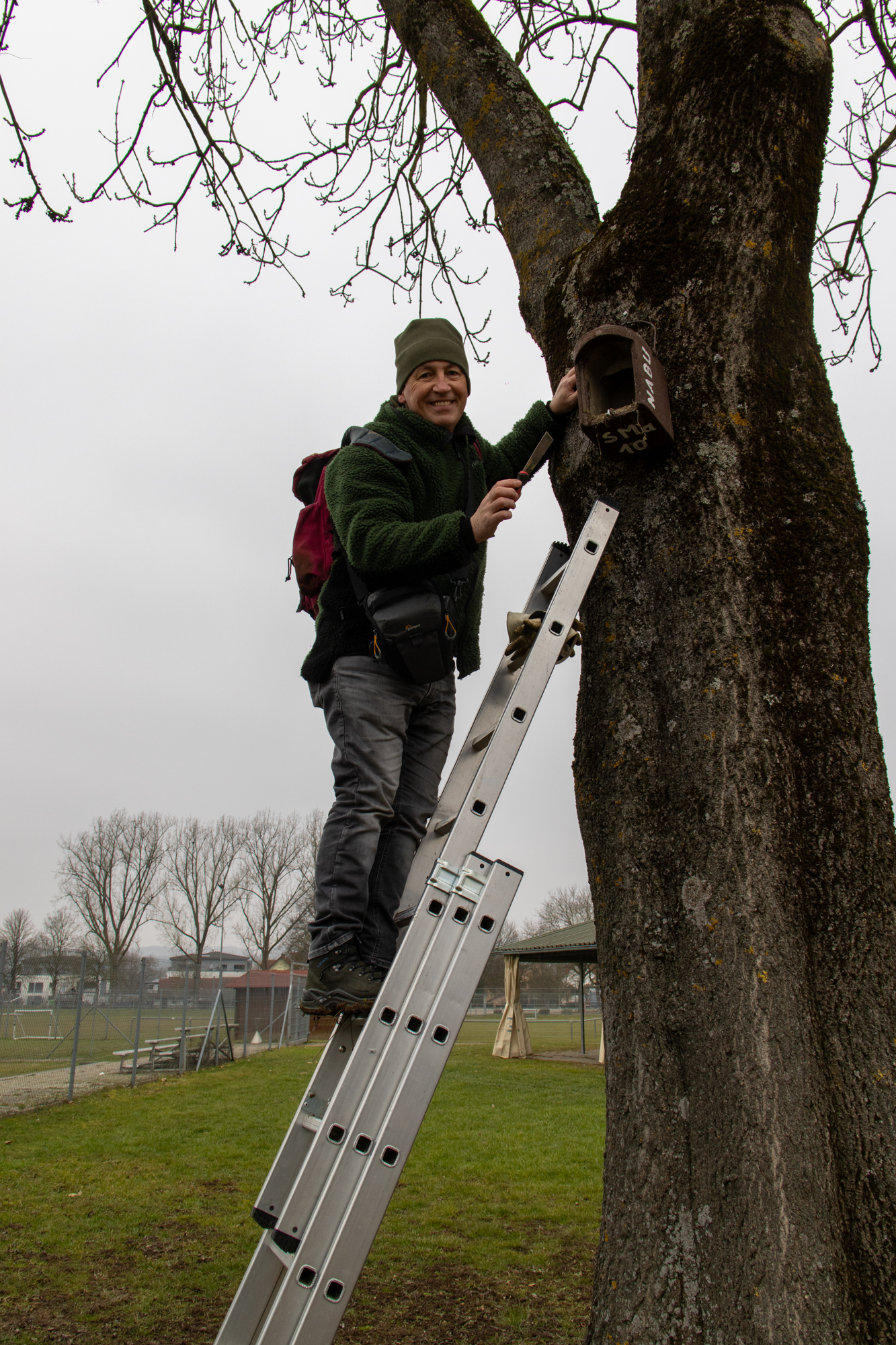 Mit der Spachtel wird das alte Nest entfernt (Foto: H. Budig)