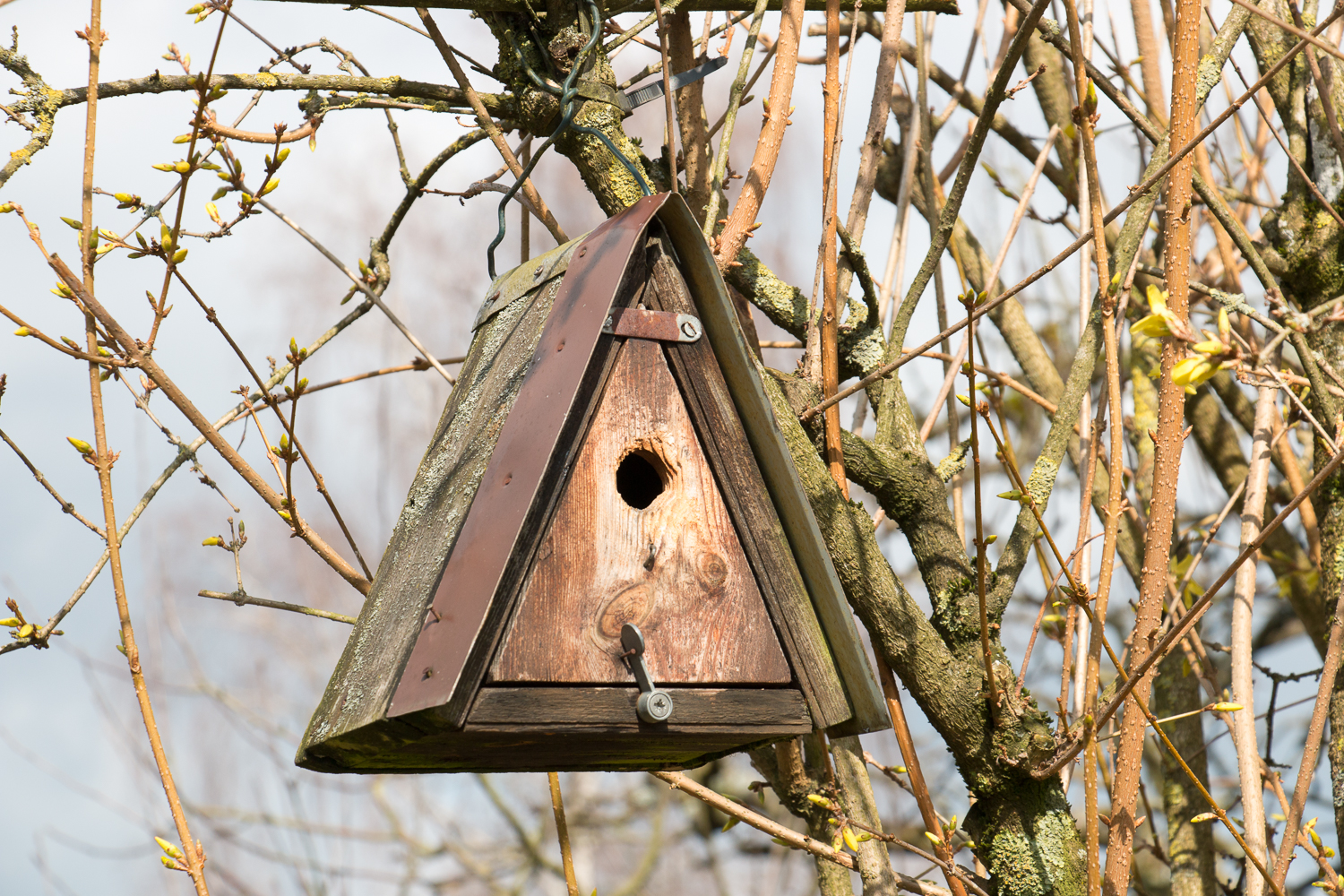 Auch für Vögel ist gesorgt (Foto: B. Budig)