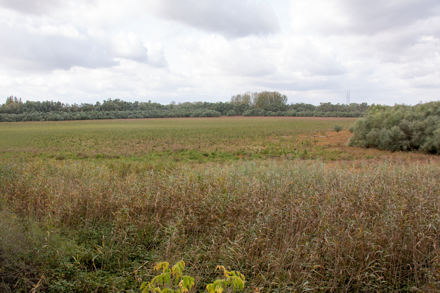 Blick zum ausgetrockneten Welschen Loch