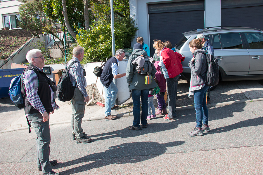 Stopp beim behaarten Schaumkraut (Foto: B. Budig)