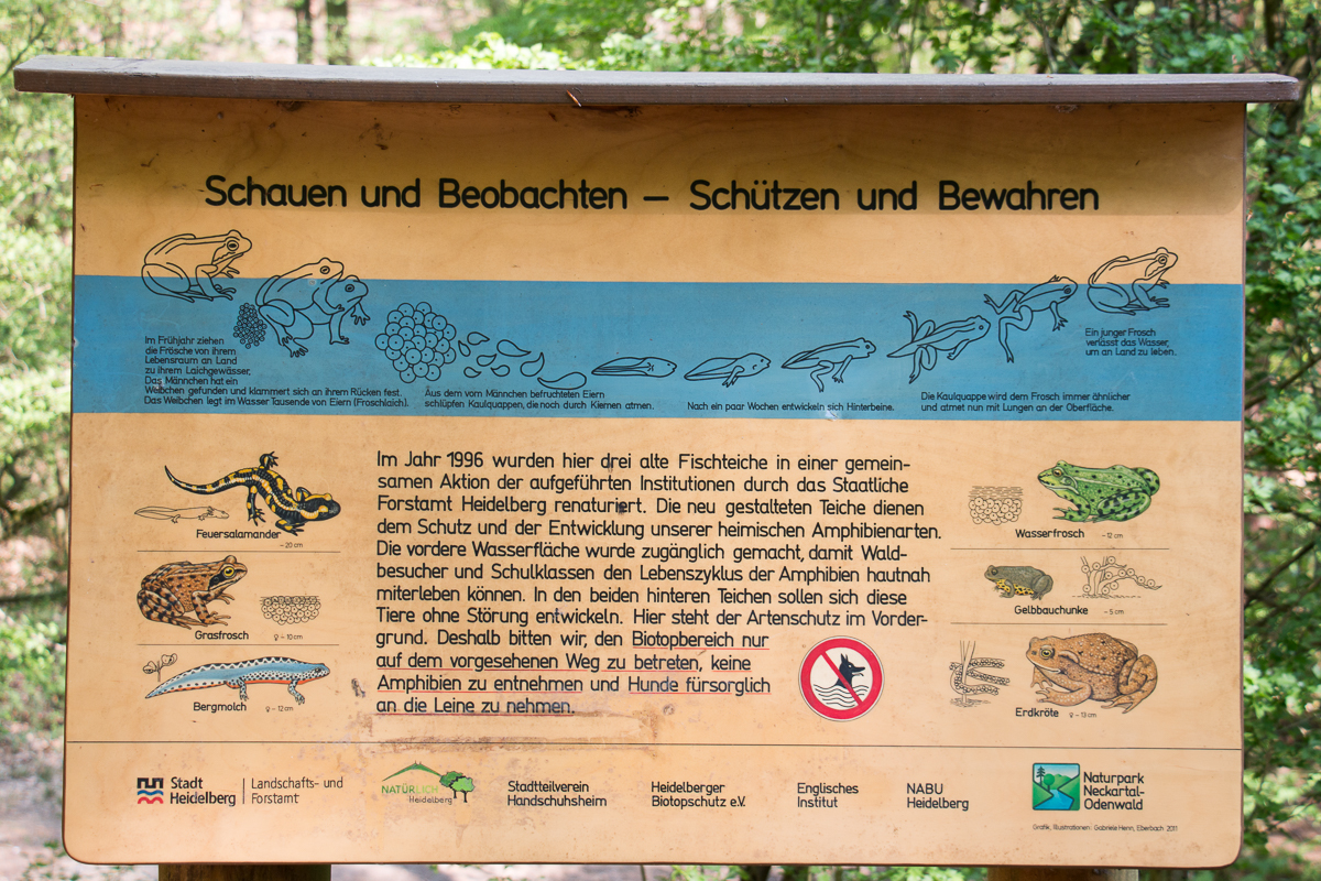 (Foto: B. Budig)