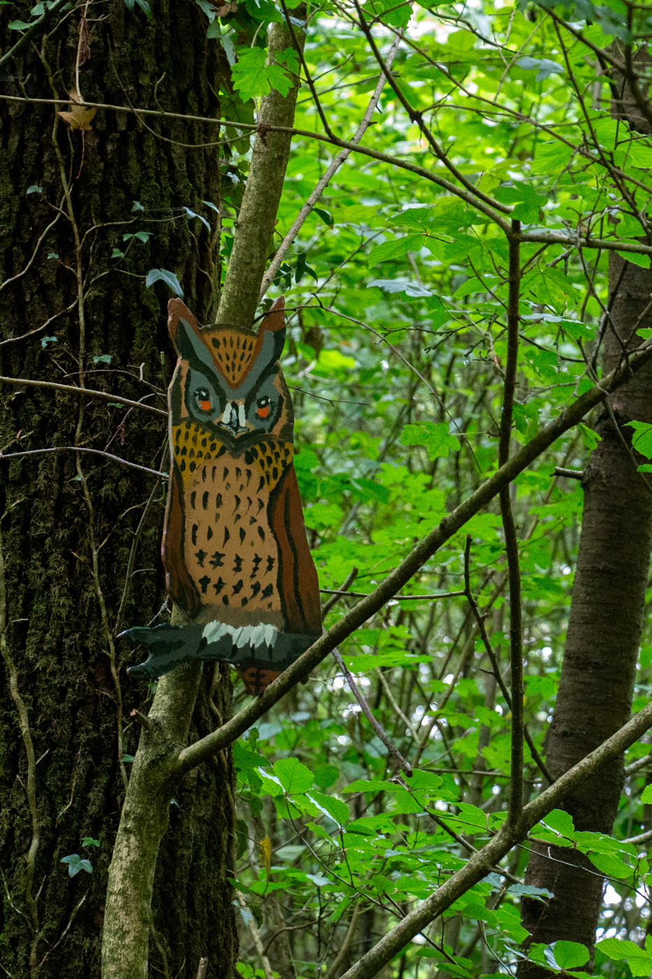 Wer hat sich denn hier versteckt? (Foto: B. Budig)
