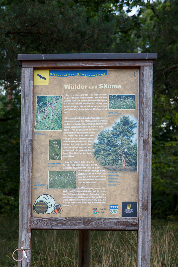 Rundwegtafel "Wälder und Säume" (Foto: B. Budig)