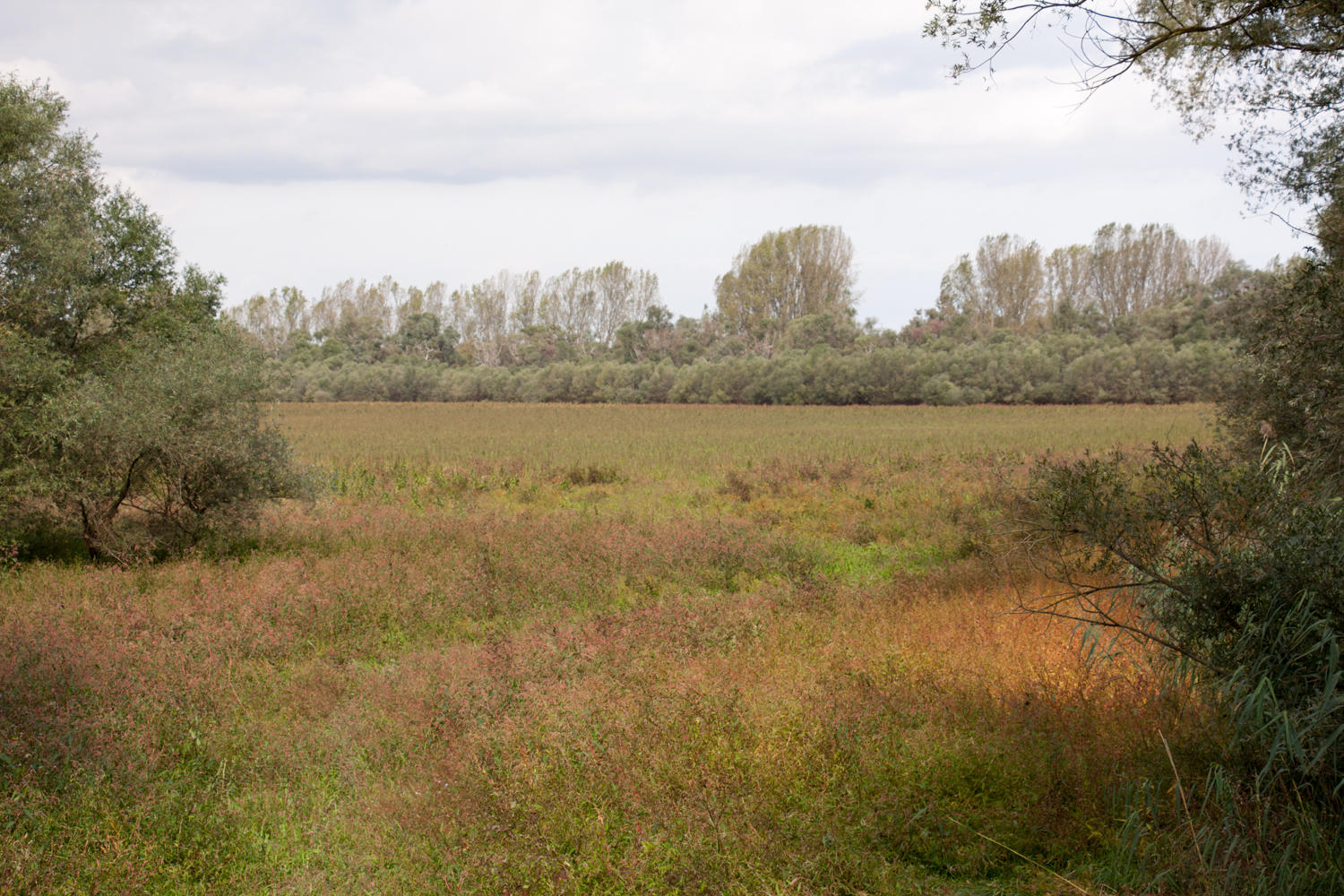 Blick zum Welschen Loch