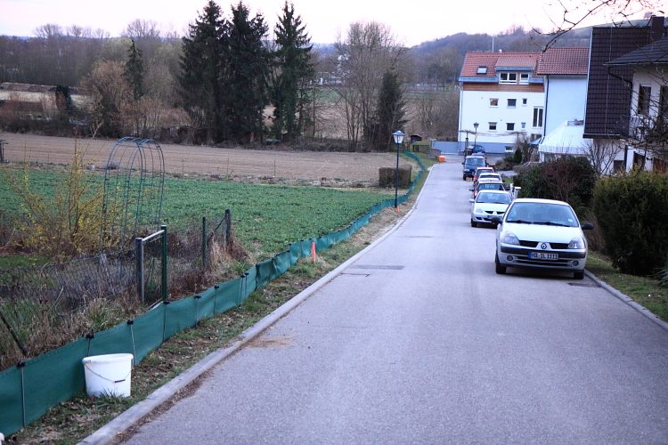 Der Zaun entlang der Erlenstraße als Leiteinrichtung. (Foto: B. Budig)