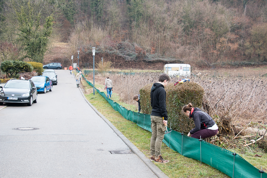 ... und auch die Heringe dürfen nicht fehlen. (Foto: B. Budig)