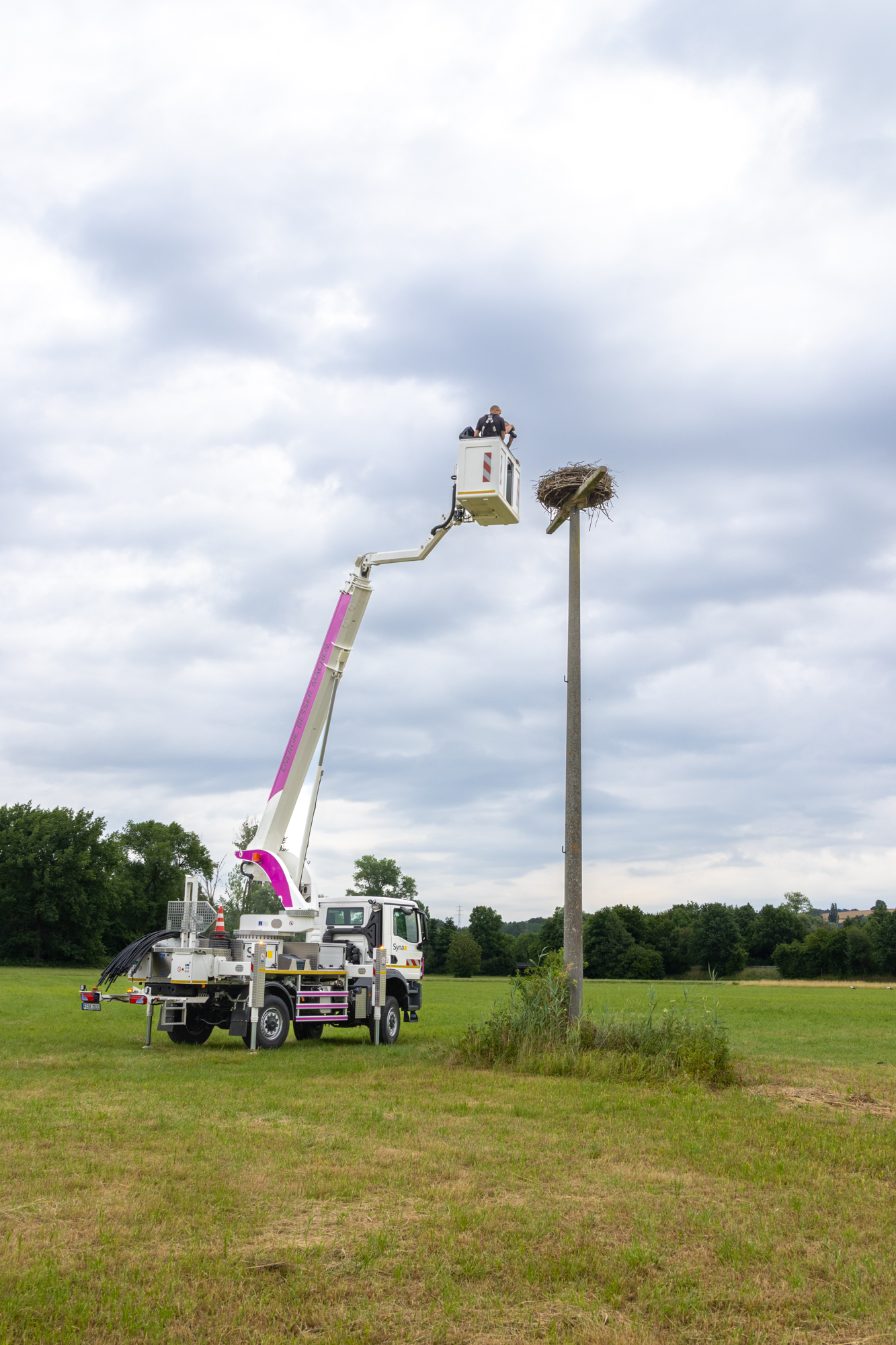 Mit dem Hubsteiger der Syna GmbH zum Nest (Foto: Henrike Budig)