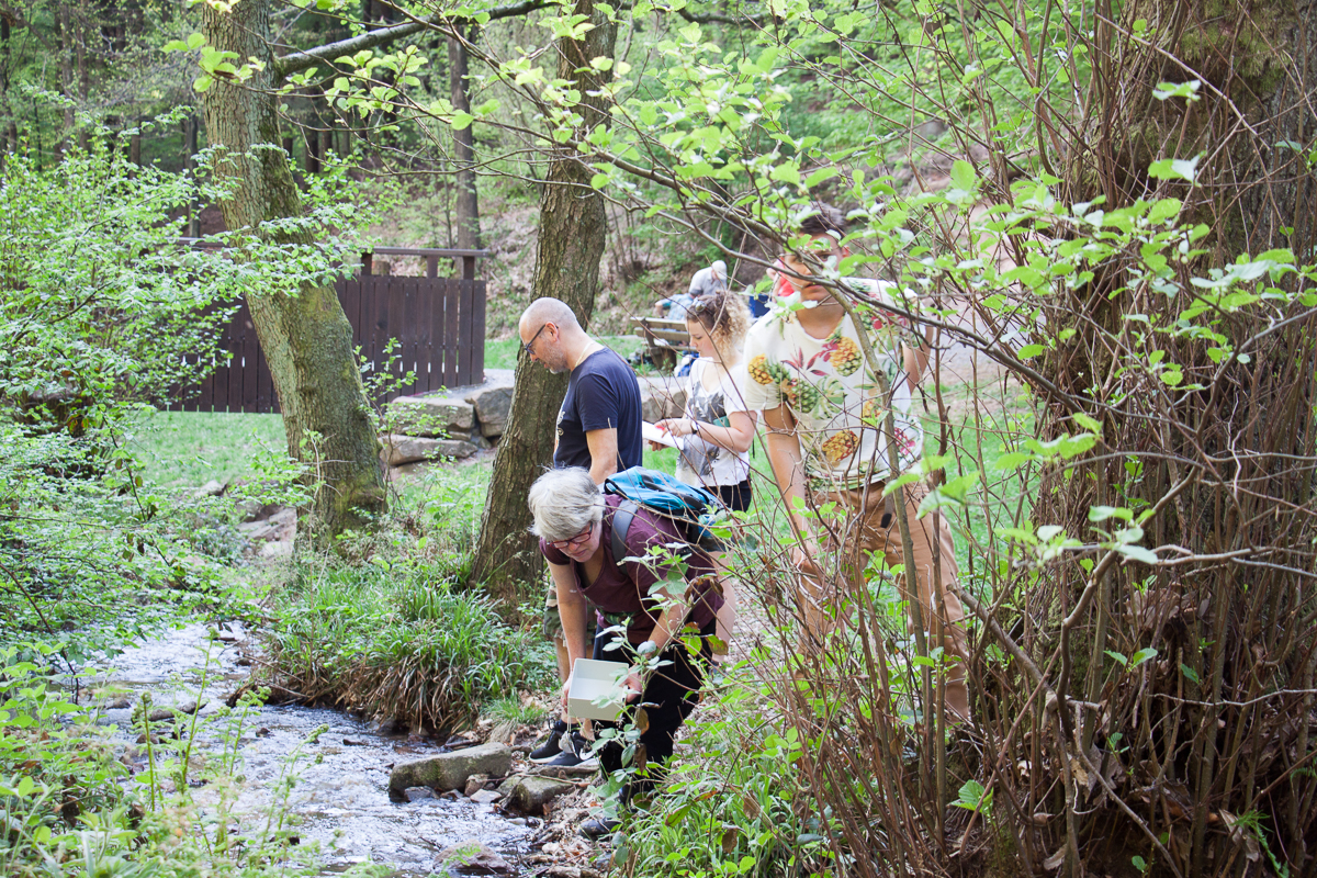 (Foto: B. Budig)