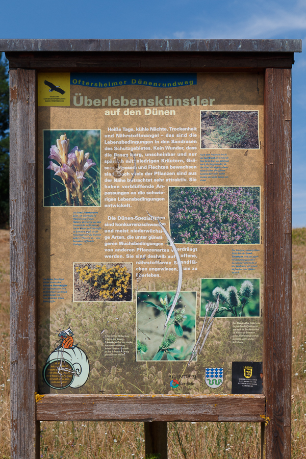 Rundwegstafel "Überlebenskünstler" (Foto: B. Budig)