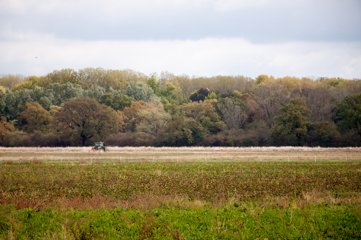 Landwirtschaftliche Fläche