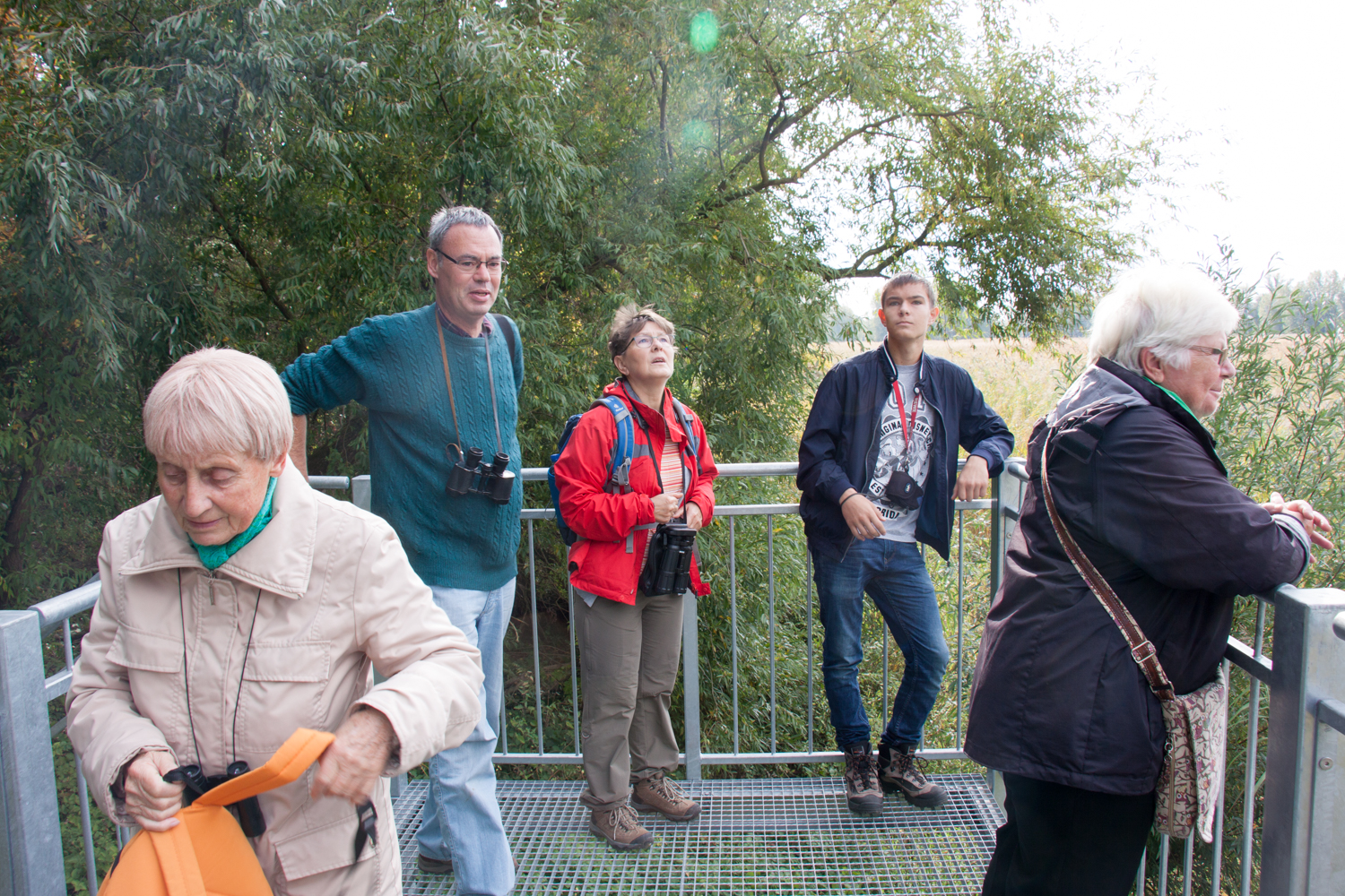 Auf dem Beobachtungsstand am Rallengraben