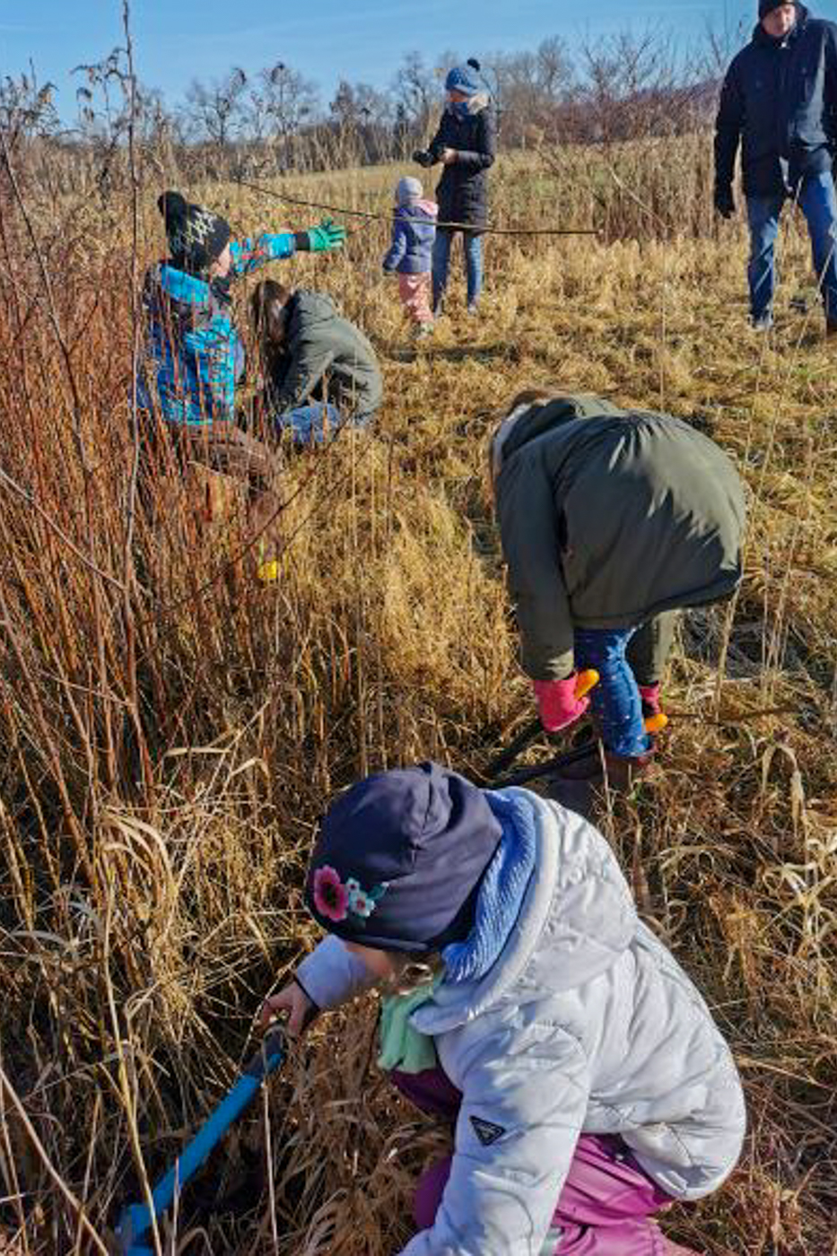 Biotoppflege an der Bruchrainwiese (Foto: C. Braun)