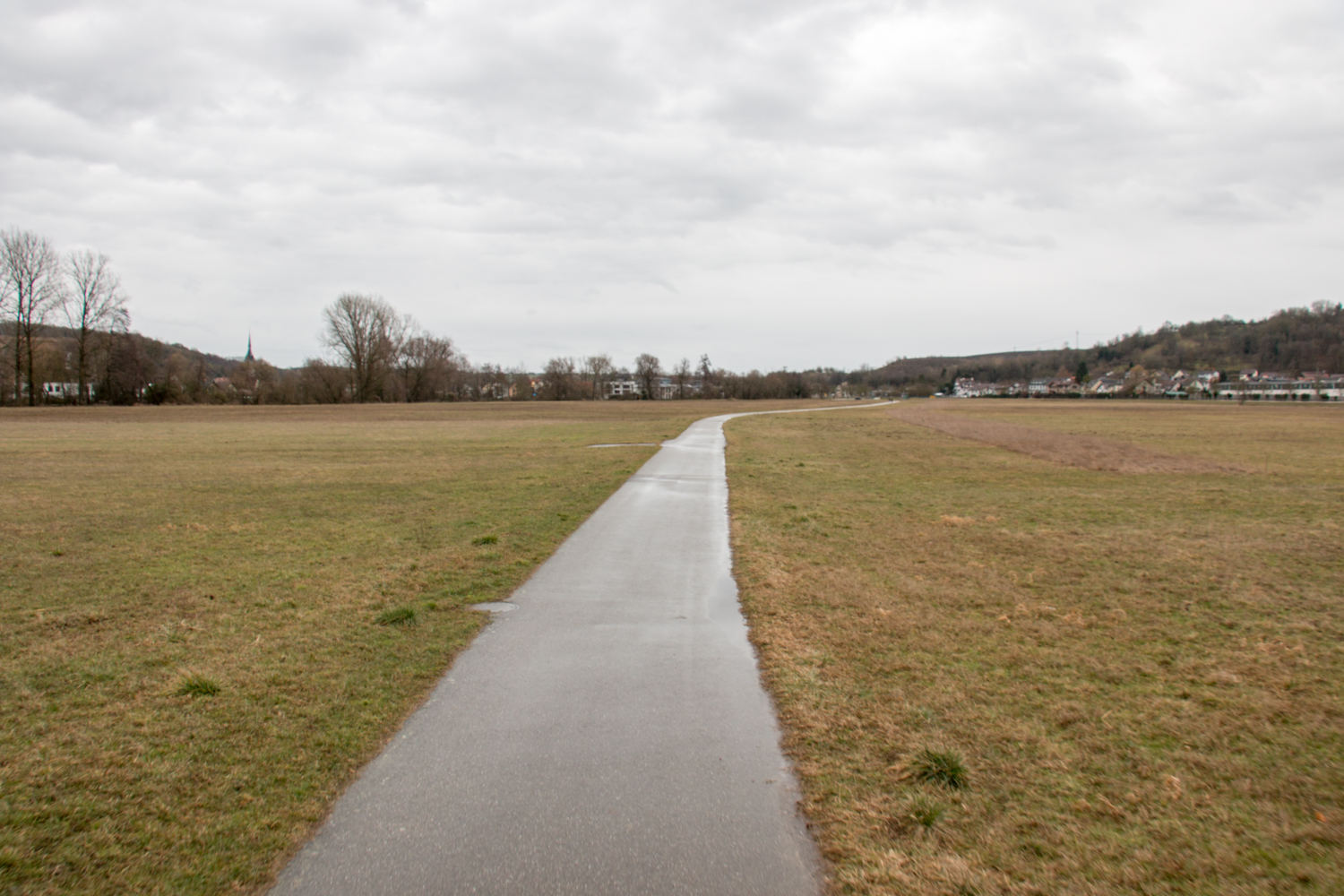 Wiesental auf Seite Reilsheim