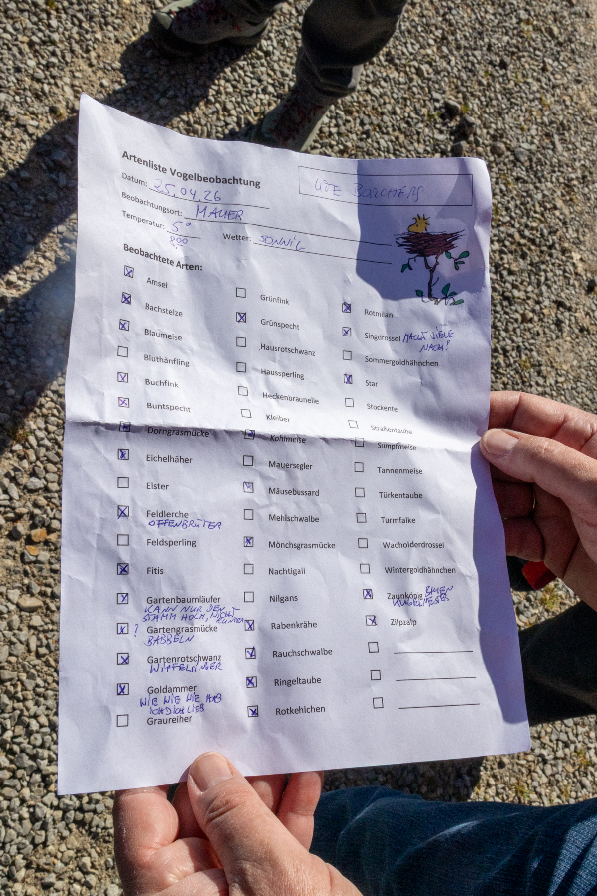 Artenliste mit Notizen (Foto: B. Budig)
