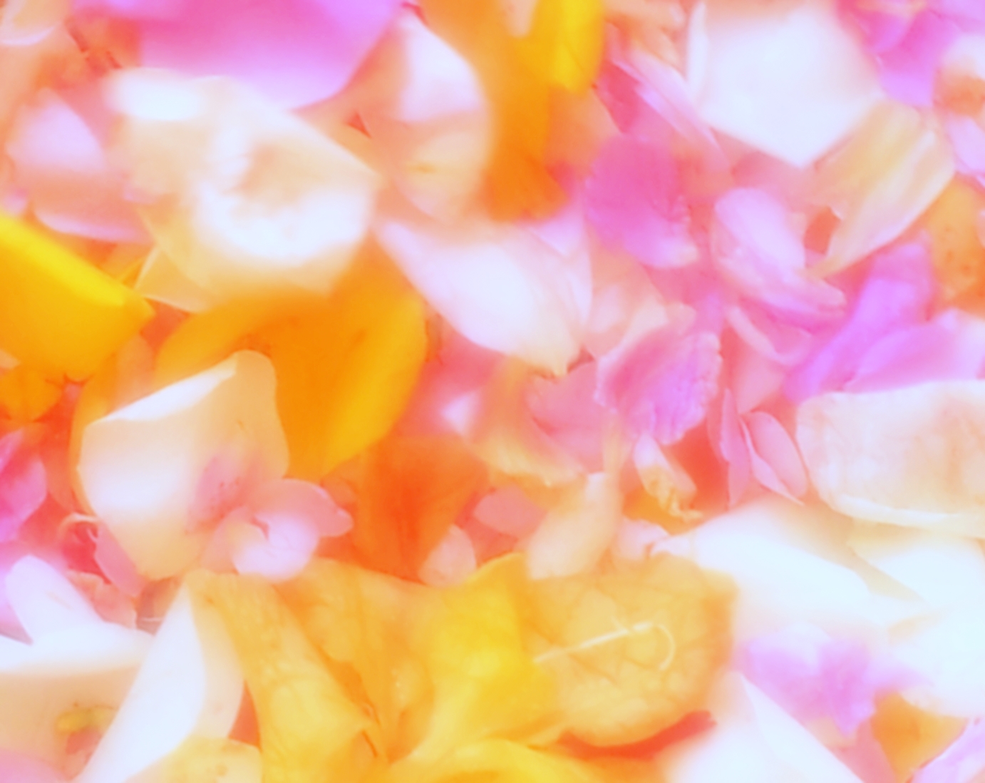 Mystikerinnen, Frauenmystik, mystische Frauen mysticwomens Webseite!