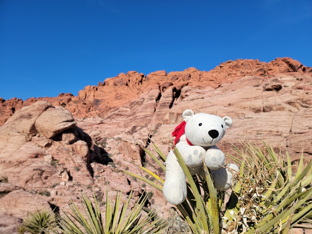 Red Rock 