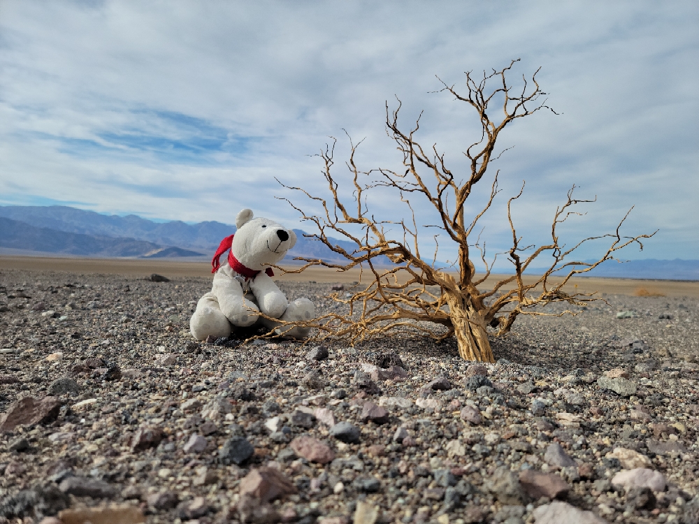 Death Valley