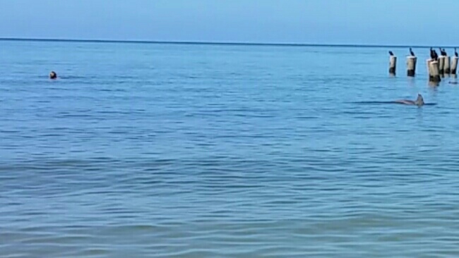 Der Schwimmer ist der Große :-)