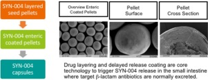 A novel formulation and process for an orally administered enzyme was developed 