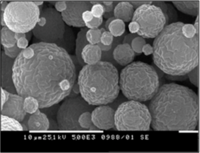 Micrographs of spray-dried chitosan microparticle