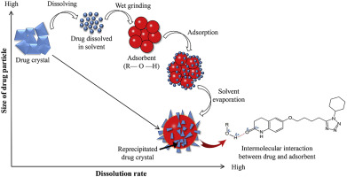 Graph which shows the dissolution rate in relation to size of drug particle