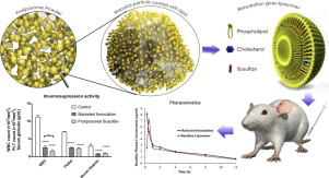 Graphical overview on method and results of proliposomal formulation of Busulfan