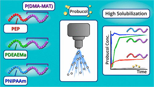 Synthetic polymers offer platforms to create new oral drug delivery vehicles (excipients) to increase solubility, supersaturation maintenance, and bioavailability of poorly aqueous soluble pharmaceutical candidates.