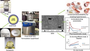 Photos of production of the excipient and of the analysis results of solid lipid nanoparticles