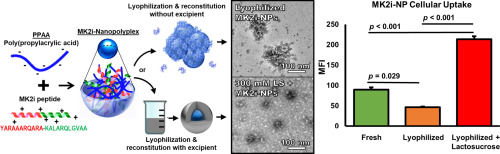 Schematic overview preparation of Excipients for the lyoprotection of MAPKAP kinase 2 inhibitory peptide nano-polyplexes