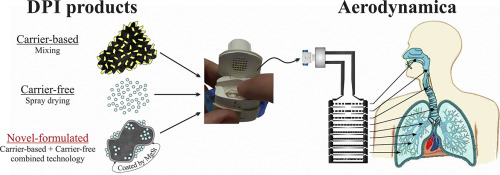 Graphic with carrier-based, carrier-free and new formulated system with CIP
