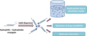 hydrophilic-hydrophobic conjugates as new carriers for nano-sized solid dispersions (SDs) were researched. 