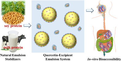 Graphic which shows the possibilities of milk protein based excipient emulsions