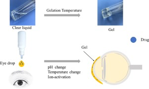 Overview in-situ gelling opthalmic drug delivery system