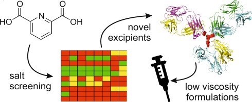 Process overview and different steps to reach novel salt of dipicolinic as new excipient