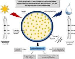 Single Multiple Pill® (SmPill®) maintains the antigenicity of ETEC colonisation factor antigen I  after storage of under room temperature and extreme storage conditions for several months. 