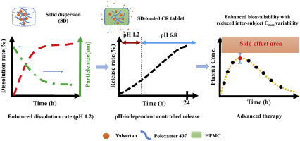 Overview of the different results for dissolution rate, controlled release and bioavailability of the tablets