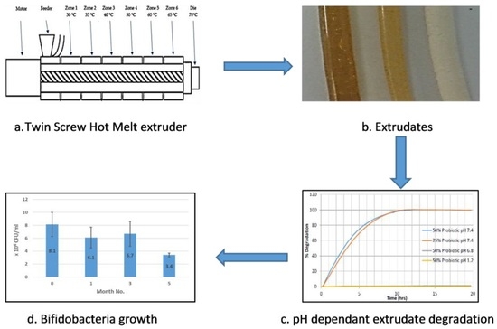 Four steps evaluation of pharmaceutical-grade shellac as a melt-extrudable encapsulation polymer