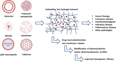 The association of nanocarriers and gels provides new therapeutic possibilities due to the combined properties of the two technologies