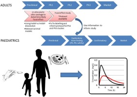 Phase diagrams with the differences in adult and paediatric medicines