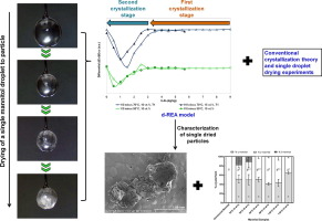 Graphic with the two stages of crystallization of mannitol and the droplet drying