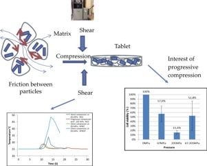Picture of study layout of analysis of cell viability of probiotics in relation to compression process
