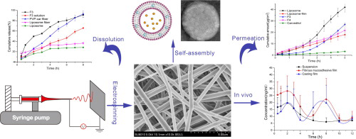 Overview production and results of self-assembled liposome from multi-layered fibrous mucoadhesive membrane